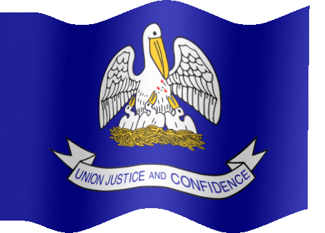 louisiana flag